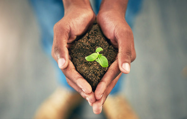 A pair of hands holding soil with a leaf sprout