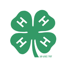 4H Logo