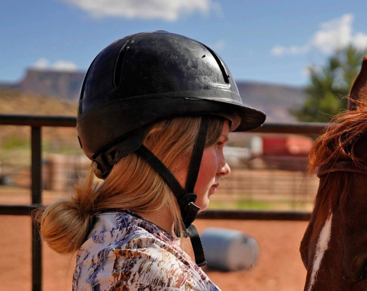 The Therapeutic Power of Horses