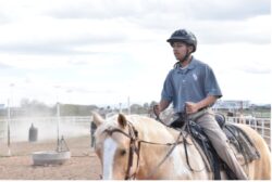 Equine Therapy